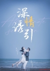 《深情诱引》短剧高清全集免费在线观看播放完整版
