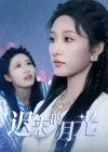 迟来的月光（62集）