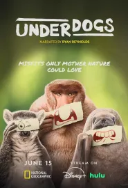 失败者 Underdogs 2025