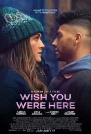 愿你在此 Wish You Were Here 2025
