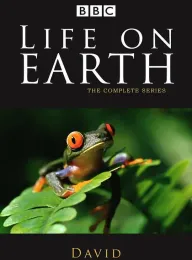 生命的进化 Life on Earth 1979 地球上的生命