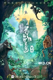 《万物之生·贵州篇 2024》