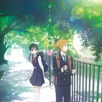 玉子爱情故事 たまこラブストーリー 2014 玉子市场 剧场版/Tamako Love Story [日本] 豆瓣:8.5