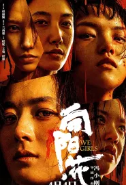 向阳·花 2025 出狱女子的故事/We Girls