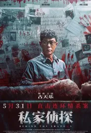 私家侦探 私家偵探 2025 尾随/Behind The Shadows