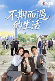 不期而遇的生活 2025 生活最优解