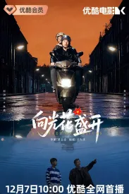 向光花盛开 2025 A Journey of Blossoms