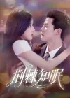 荆棘知眠（81集）陈刚（陈柏乔）＆林琦婷