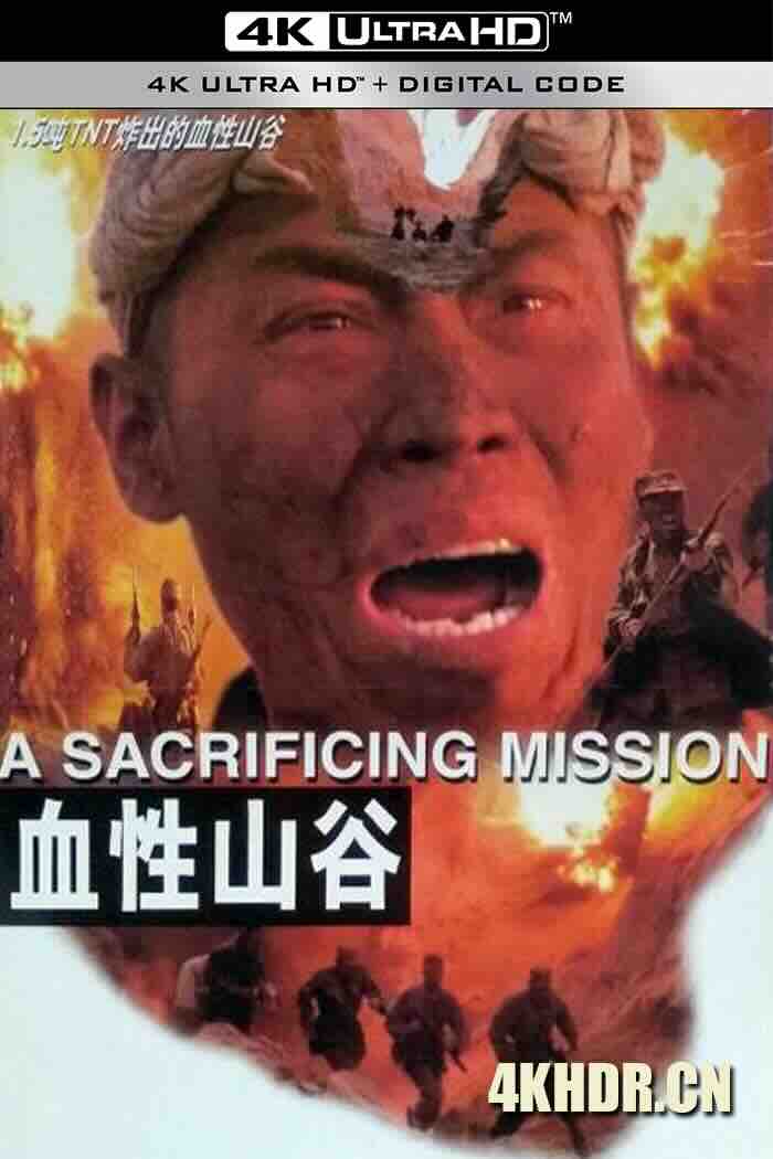 d1.jpeg