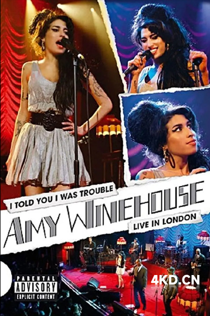 Amy Winehouse: I Told You I Was Trouble 2007