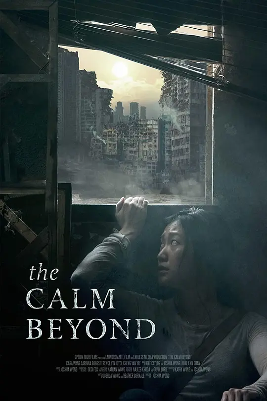 平静之外 The Calm Beyond 2020 水過留痕(港)/カーム・ビヨンド 漂流者