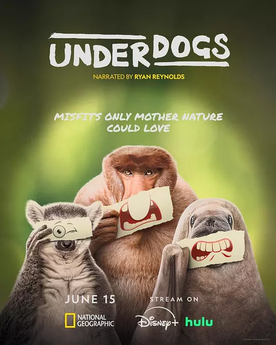失败者 Underdogs 2025