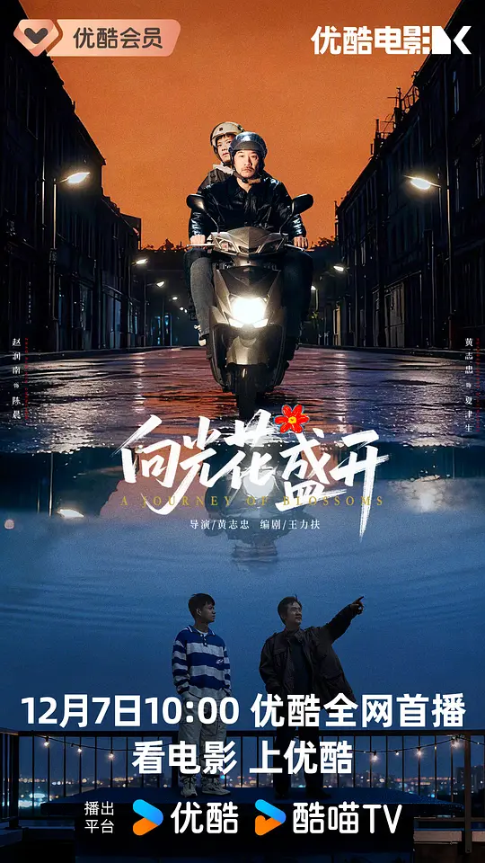 向光花盛开 2025 A Journey of Blossoms