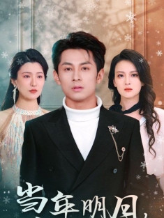 《当年明月负尽深雪》短剧高清全集免费在线观看播放完整版