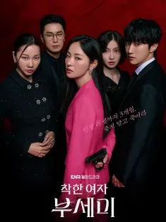 善良的女人夫世美！ 착한여자 부세미！ 2025 善良女子布西米/Ms. Incognito