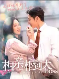 短剧《相亲相到大boss&遇见正确的你》(101集) 网盘在线观看