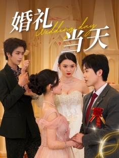 《婚礼当天》短剧高清全集免费在线观看播放完整版