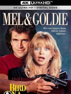 轰天俏娇娃 Bird on a Wire (1990) 惊弓之鸟/电线上的鸟/美国/豆瓣: 6.6