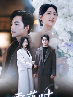 《雪落时你向南飞》短剧高清全集免费在线观看播放完整版