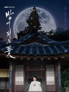 夜晚开的花 밤에 피는 꽃 (2024) Knight Flower/韩国/豆瓣: 7.4