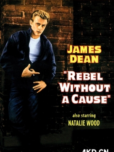 无因的反叛 1955 Rebel Without a Cause  美国 豆瓣:8.0