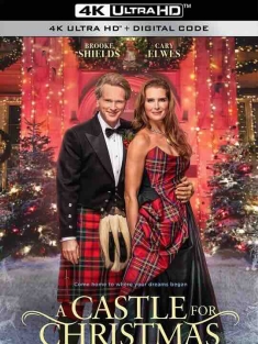 圣诞城堡 A Castle for Christmas (2021) / 4K电影下载 / A.Castle.For.Christmas.2021.2160p.NF.WEB-DL.x265.10bit.HDR.DDP5.1.Atmos-NewYear