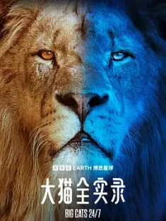 大猫全实录 Big Cats 24/7 2024  美国 英国