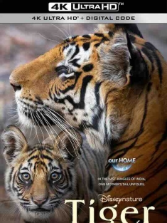 老虎 Tiger (2024) / 4K纪录片下载 / Tiger.2024.2160p.DSNP.WEB-DL.DDP5.1.Atmos.DV.HDR.H.265