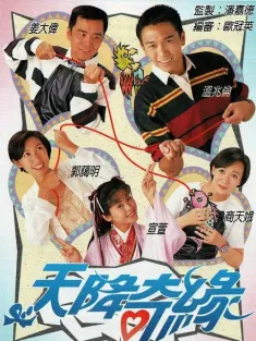 天降奇缘 天降奇緣 1995 A Good Match From Heaven