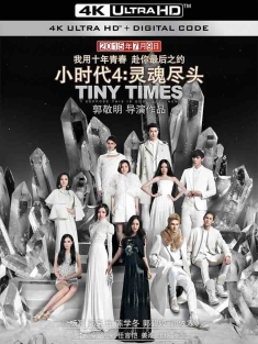 小时代4：灵魂尽头 (2015) 小时代4/Tiny Time 4.0/中国大陆/豆瓣: 5.1