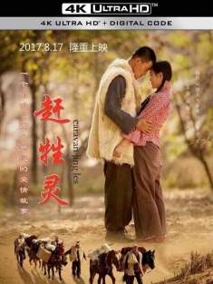 赶牲灵 (2017) Caravan Jingles/中国大陆/豆瓣: