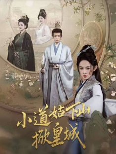 《小道姑下山掀皇城》短剧高清全集免费在线观看播放完整版