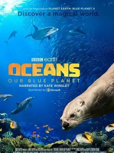 海洋：我们的蓝色星球 Oceans: Our Blue Planet (2018)2160p.BluRay.HEV...