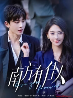 《南方有佳人》短剧高清全集免费在线观看播放完整版