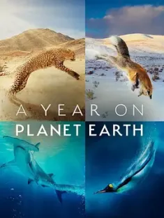 地球上的一年 A Year on Planet Earth (2022) /4K 杜比视界/中国大陆/美国/豆瓣: 9.2