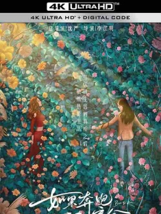 如果奔跑是我的人生 (2024) / 如果奔跑是我的宿命 / Born to Run / 4K电视剧下载