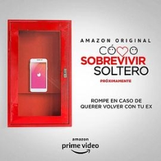 单身万岁 How.to.Survive.Being.Single.S01.2160p.AMZN.WEB-DL.x265.10bit.HDR...