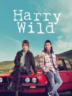 野探哈莉 第三季 Harry Wild Season 3 2024 哈里·怀尔德/哈丽·怀尔德 [爱尔兰] 豆瓣: