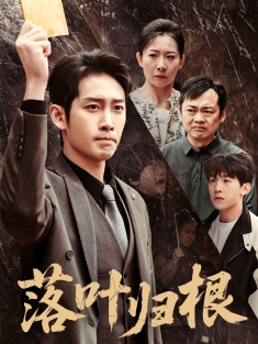 《落叶归根》短剧高清全集免费在线观看播放完整版