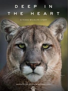 Deep in the Heart: A Texas Wildlife Story (2022)2160p.WEB-DL.x265.10bit.HDR.D...