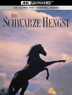 黑神驹 The Black Stallion (1979) 沙漠黑驹/灵驹/豆瓣: 8.2