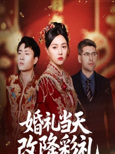 《婚礼当天改降彩礼》短剧高清全集免费在线观看播放完整版