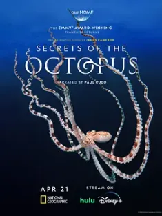 章鱼的秘密 Secrets of the Octopus (2024) 章鱼之谜 [澳大利亚/美国]豆瓣: 8.3