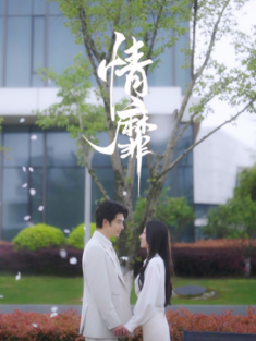 短剧《情靡》(92集) 网盘在线观看