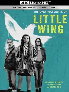 小翅膀 Little Wing (2024) / 4K电影下载 / Little.Wing.2024.HDR.2160p.WEB.H265