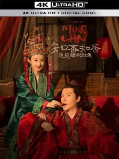 知否知否应是绿肥红瘦 知否？知否？应是绿肥红瘦/明兰传/The Story of Ming Lan
