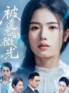 被遗忘的微光（48集）