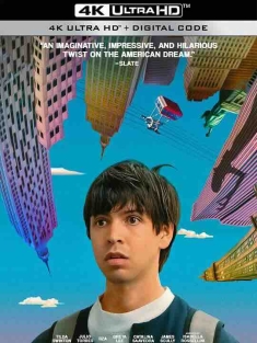 问题专家 Problemista (2023) / 大麻烦家(台) / 4K电影下载 / Problemista.2023.HDR.2160p.WEB.H265