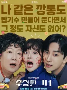 奇怪的她(剧版) 수상한 그녀 (2024) Miss Granny [韩国]豆瓣: