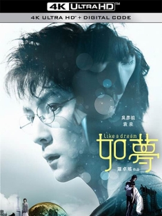 如梦 (2010) Like a Dream